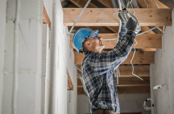 Best Electrical Repair Services  in Glenwood, IL