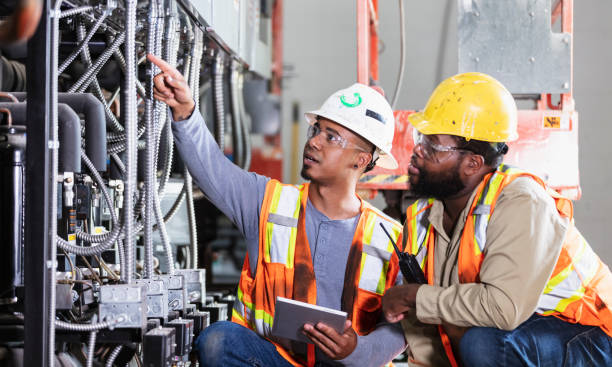 Best Electric Panel Repair  in Glenwood, IL